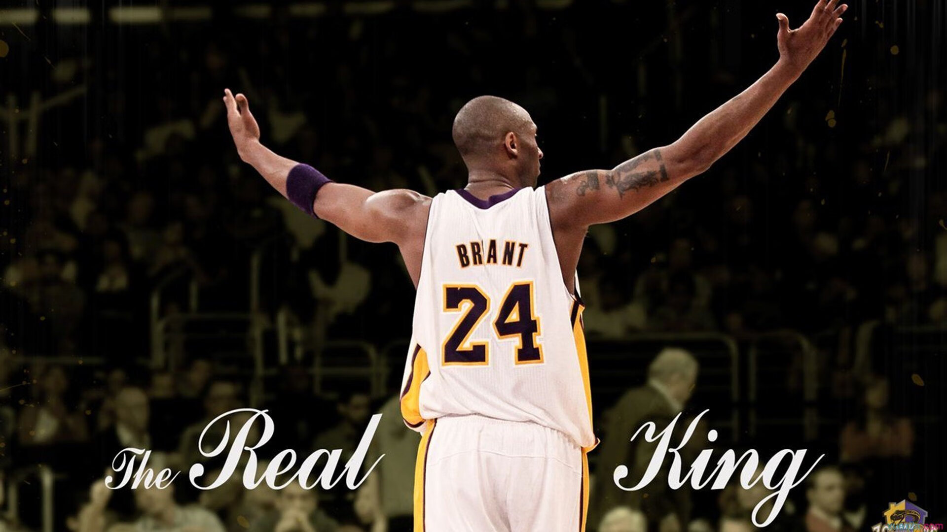 法国橄榄球比赛吸引大批投资，赛事品牌影响力大增，法国 橄榄球