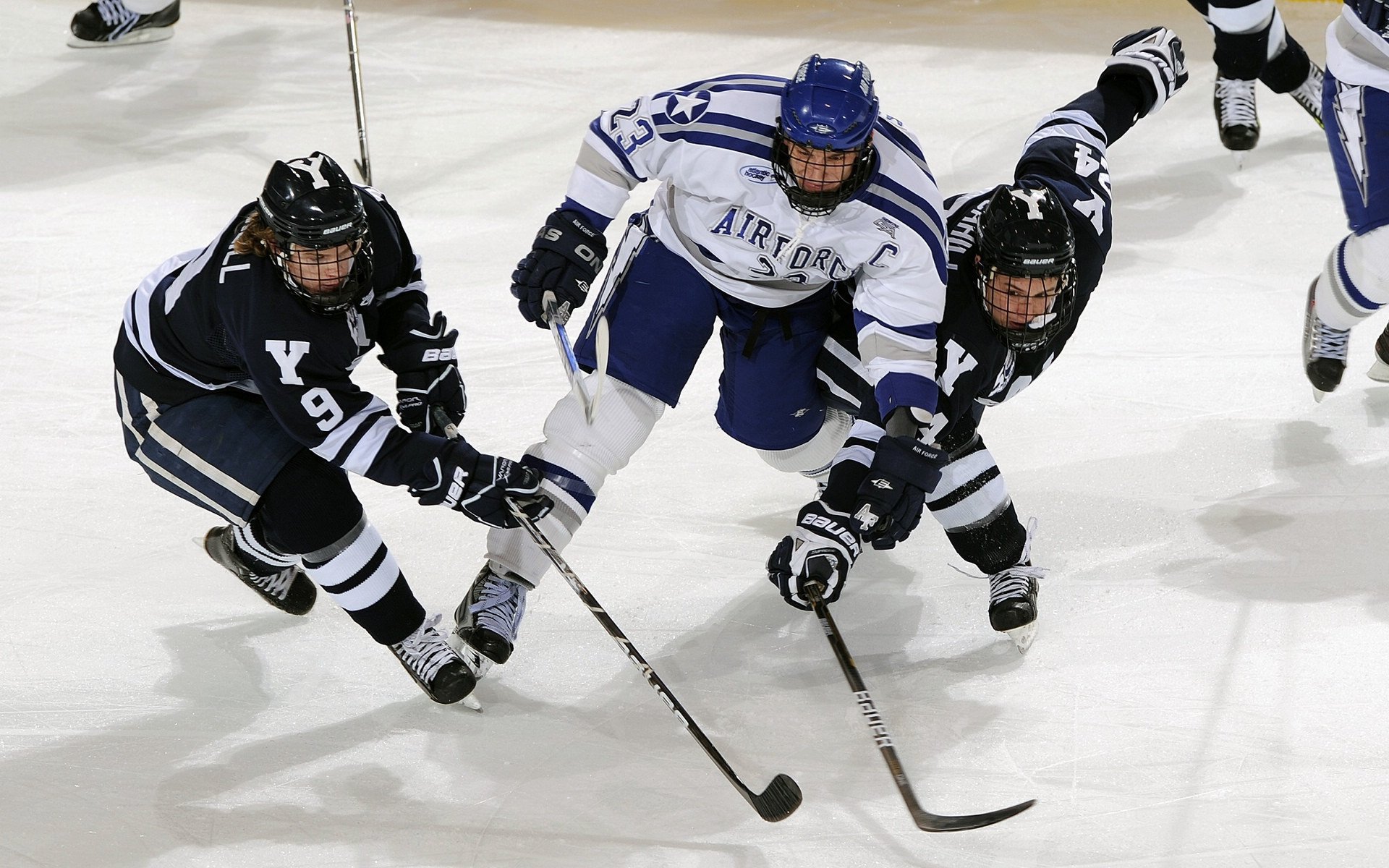 澳大利亚袋鼠队的快速反击体现出其战术多变性，在澳大利亚人眼里,袋鼠军团就是这样一支队伍